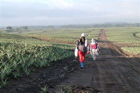 minimum wage koronadal|Soccsksargen minimum wage earners to get P32 pay hike .